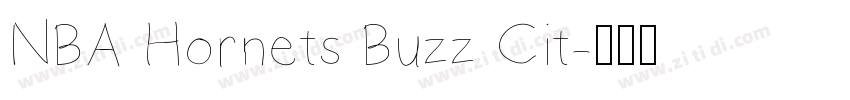 NBA Hornets Buzz Cit字体转换